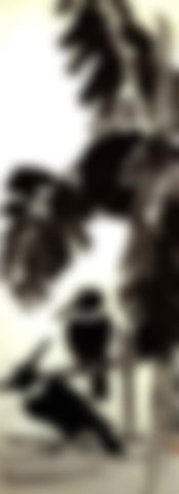 Two parson crows under plantain (preview)