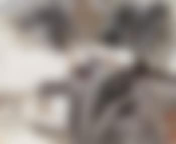 Landscape and calligraphy (preview)