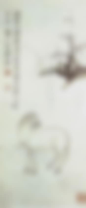 Fine horse (preview)