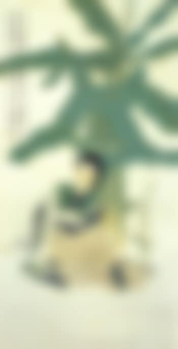 Lady under plantains (preview)