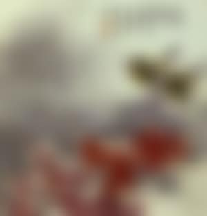 Pelargonium and birds (preview)