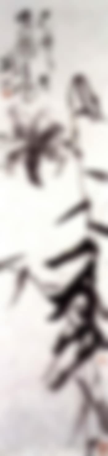 Orchid (preview)
