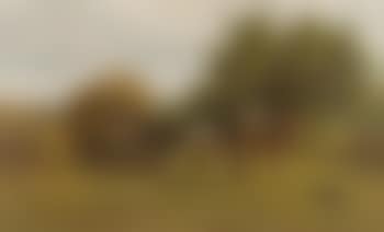 Late summer. Loading the hay-cart (preview)