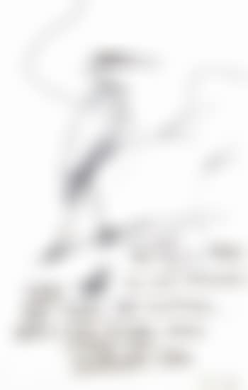 Egret study and inscription (preview)