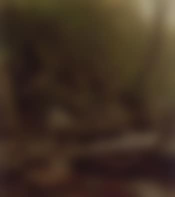 A study of rocks at Kauterskill Clove (preview)