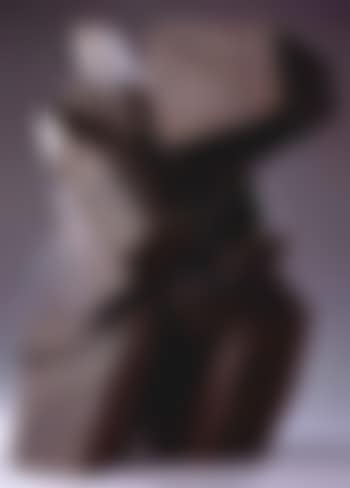 Taichi series (preview)