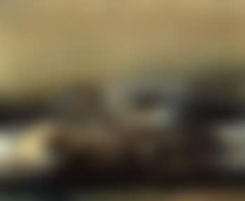 9.6.66 (preview)