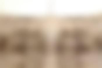 Project for Extraterrestrials no 5, fetus movement (preview)