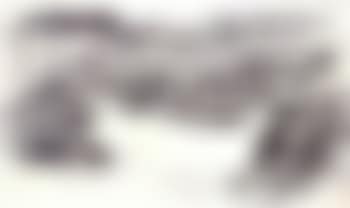 Landscript series (preview)