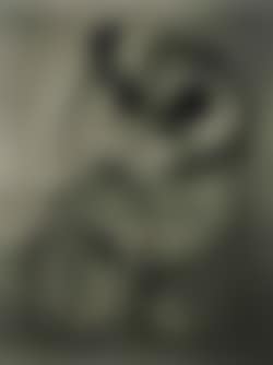 Cut paper (preview)