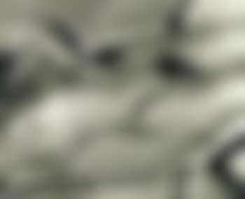 Nude on mud flat (preview)