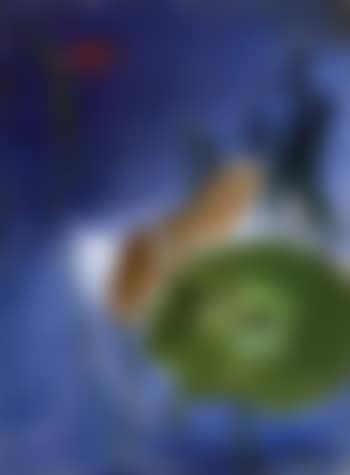 Lotus pond (preview)