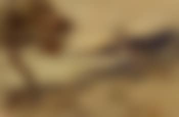 Landscape in Macuto (preview)