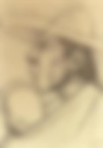 Indian woman and boy (preview)