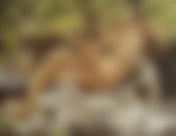 Female nude (preview)