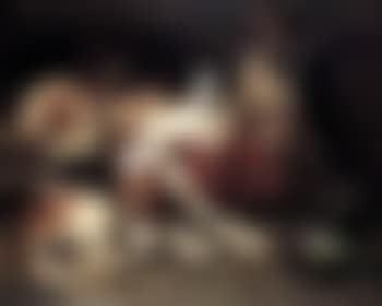 His lordship's favourites (preview)