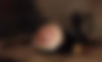 Still life of ham (preview)