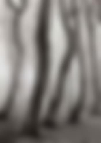 Buchenwald (preview)