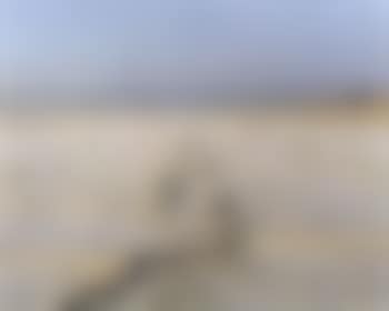 Encrusted tracks, Boneville Salt Flats (preview)