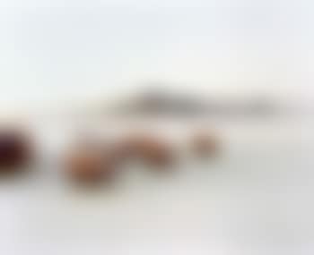 Outdoor dining, Bonneville Salt Flats (preview)