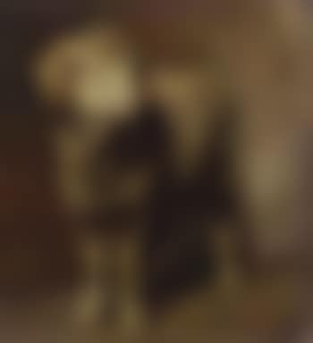 Ram (preview)