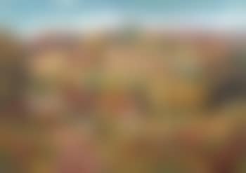 In a village (preview)