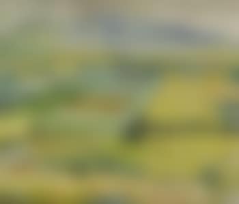 Fields (preview)
