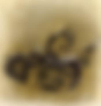 Cafetiere ecrasee (preview)