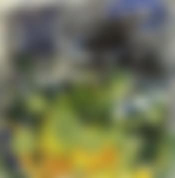 Landscape (preview)