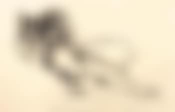 Monica nude with Matisse (preview)