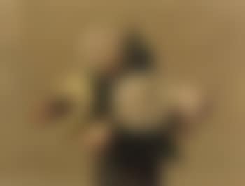 Roses jaunes et roses (preview)