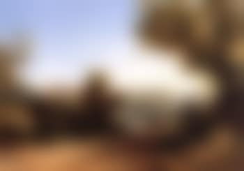 View above Rushcutters Bay, near Sydney (preview)