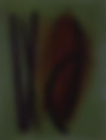 T1957-124E (preview)