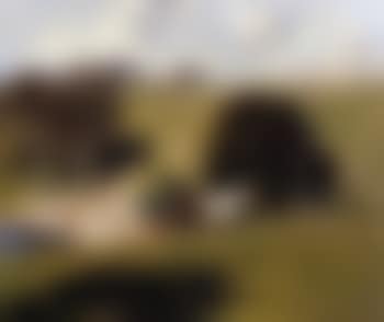 Landscape with hay wagon (preview)