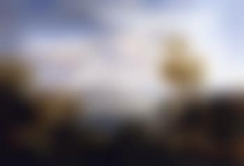 Sydney Harbour from Vaucluse (preview)