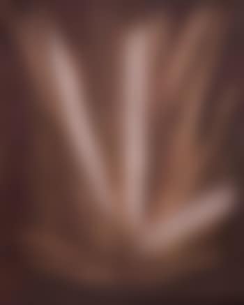 T1955-6 (preview)