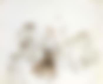 Figures (preview)