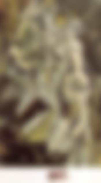 Nu descendant un escalier (preview)