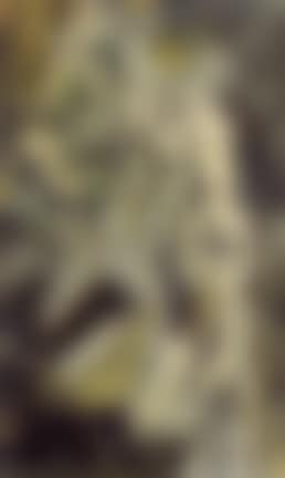 Nu descendant un escalier (preview)