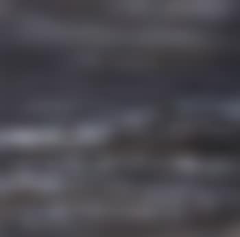 Seashore (preview)