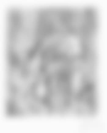 Nature morte au compotier (preview)