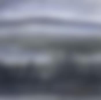 Wild goose with waterfowl (preview)
