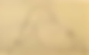 Seated nude (preview)