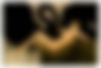 Leda and the swan (preview)