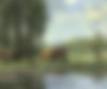 Vaches au bord d'un etang (preview)
