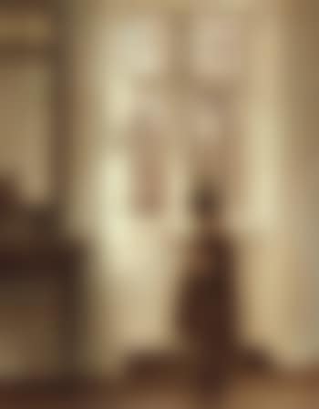 Inge by the window (preview)
