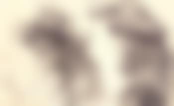 Study of two girls (preview)