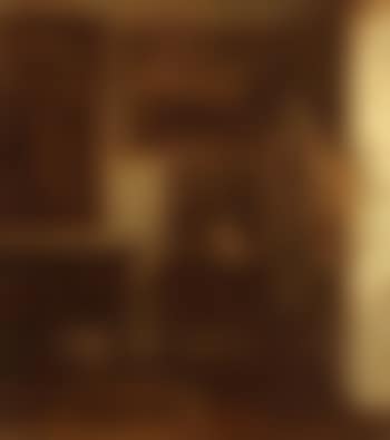 Interior with a vase of flowers (preview)