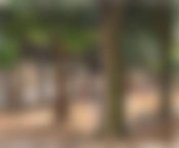 Park scene with passer-bys and children playing, Paris (preview)