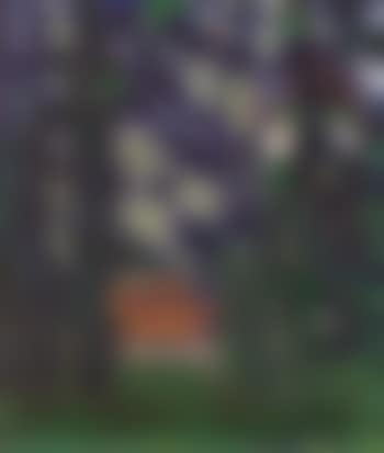 View through the trees (preview)